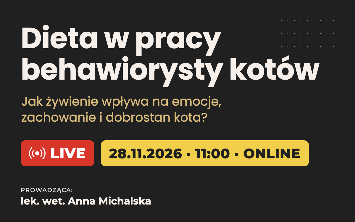 Dieta w pracy behawiorysty kotów